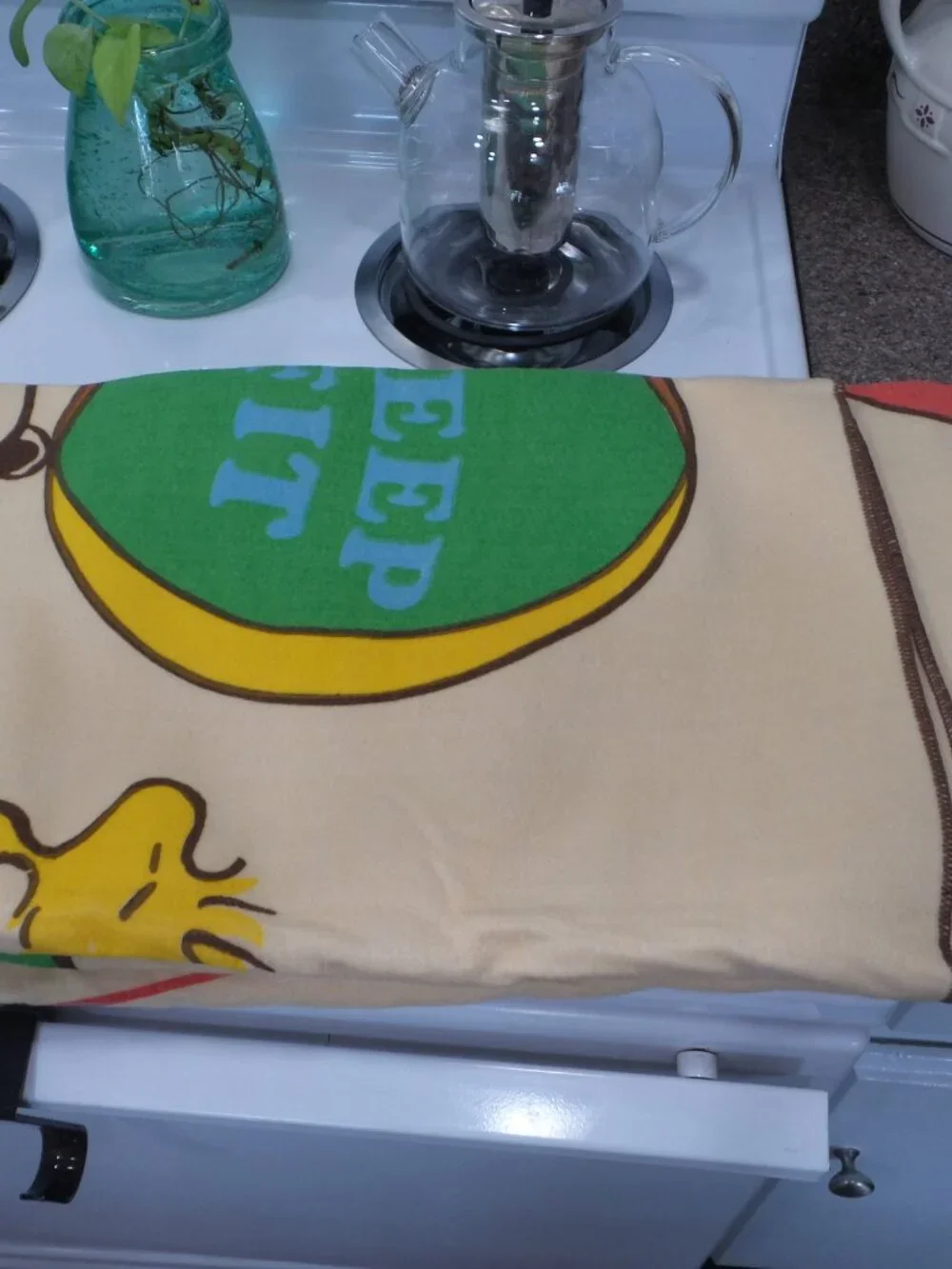 Vintage 1965 Peanuts Snoopy Chatham Keep Fit Blanket w/ Original Bag